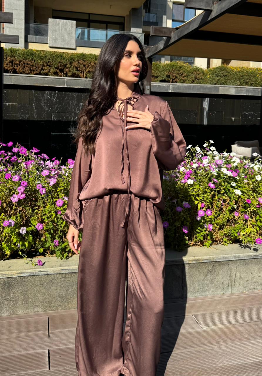 Brown silk set